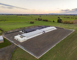 Featured image for “Cannasouth Cultivation Facility Achieves GACP Certification”