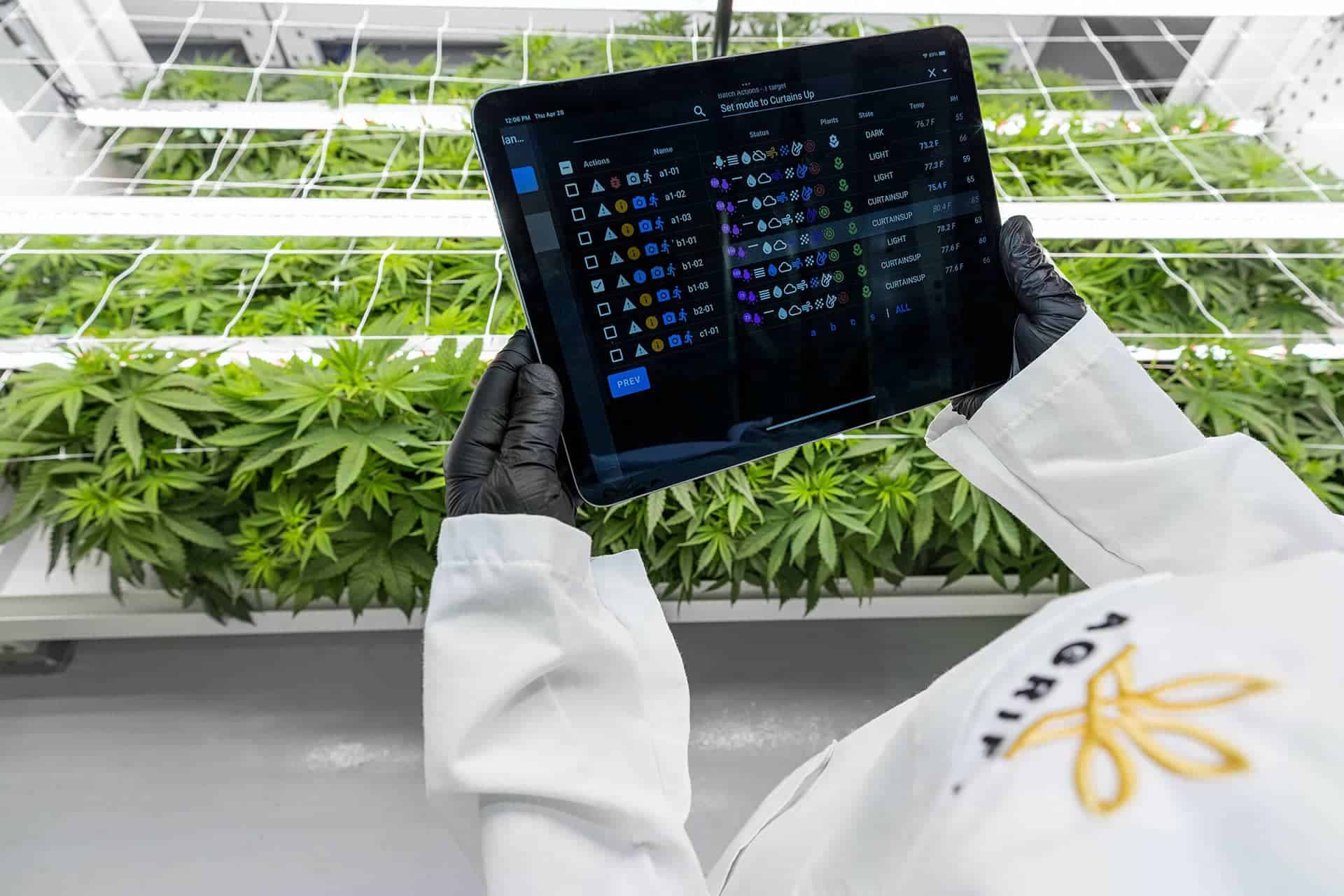 Featured image for “Agrify enters highly attractive New Zealand cannabis market”