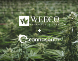 Featured image for “Cannasouth signs agreement with WEECO Pharma”