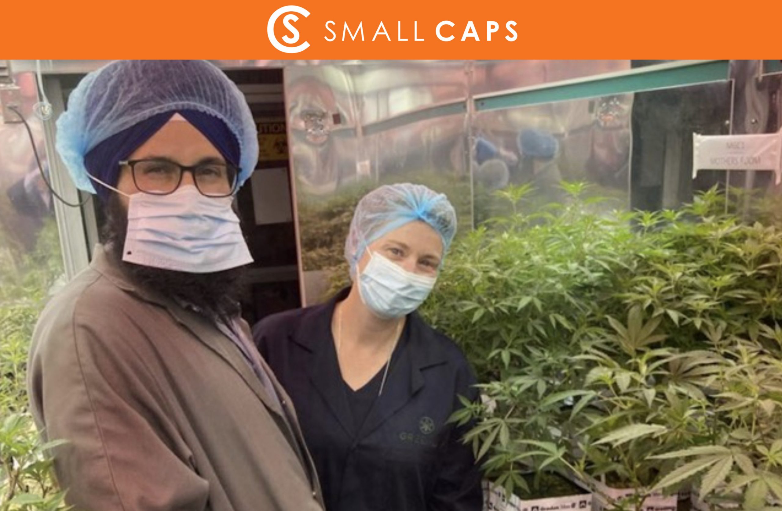 Featured image for “Greenlab joins forces with Helius Therapeutics to develop targeted medicinal cannabis treatments”